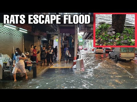 [4K] Walking in the Rain on Silom Road Bangkok | Flood in Thailand