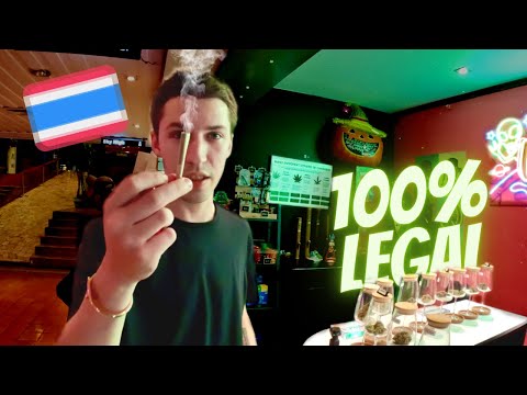 This is Khao San Road in 2022 | Bangkok 🇹🇭