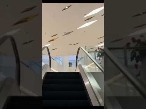 Bangkok 10 Travel video #bangkok #thailand #travel #vacation #travelvideo #holiday #youtubeshorts