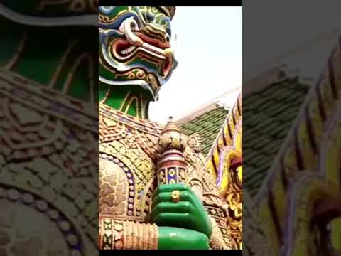 Bangkok 6 Travel video #bangkok #thailand #travel #travelvideo #vacation #holiday #youtubeshorts