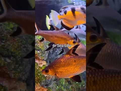 Top 10 Best Places to Visit in Bangkok | Must-See Attractions 2024